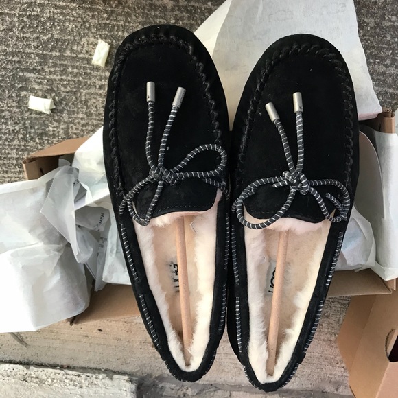 UGG WOMENS AUTHENTIC DAKOTA Sz 7,8 New - Picture 4 of 7